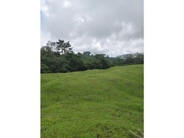Vendo finca en Fredonia Antioquia
