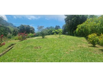 Vendo finca en Fredonia Antioquia