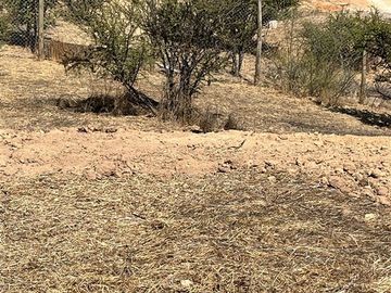 Parcela en Venta en CONDOMINIO MIRADORES DE LA CAMPANA OLMUE