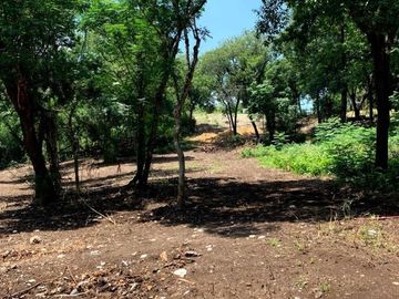 TERRENO CAMPESTRE EN VENTA EN MONTEMORELOS, NL