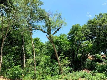TERRENO CAMPESTRE EN VENTA EN MONTEMORELOS, NL