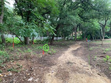 TERRENO CAMPESTRE EN VENTA EN MONTEMORELOS, NL