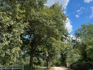 TERRENO CAMPESTRE EN VENTA EN MONTEMORELOS, NL