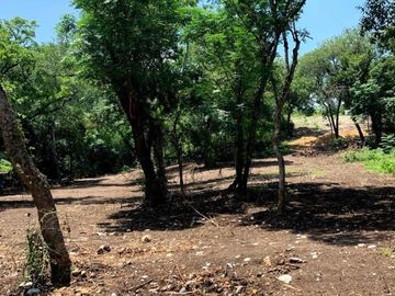 TERRENO CAMPESTRE EN VENTA EN MONTEMORELOS, NL