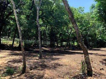 TERRENO CAMPESTRE EN VENTA EN MONTEMORELOS, NL