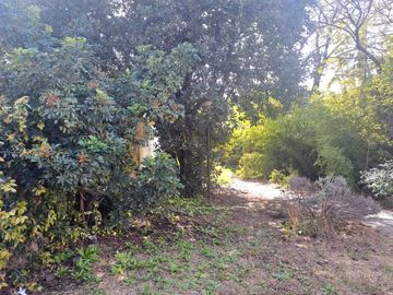 VENTA PH 3 AMBIENTES GRAN JARDIN