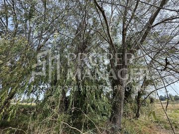 Parcela en Venta en Parcela 6.000 m2 - Proyecto Siloe
