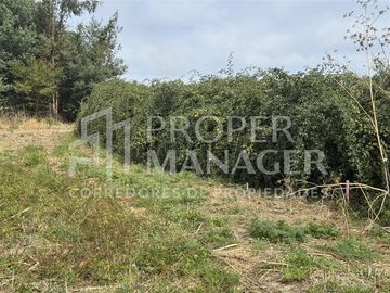 Parcela en Venta en Parcela 6.000 m2 - Proyecto Siloe