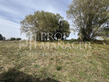 Parcela en Venta en Parcela 6.000 m2 - Proyecto Siloe