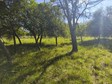 VENTA CASA QUINTA CAMPESTRE