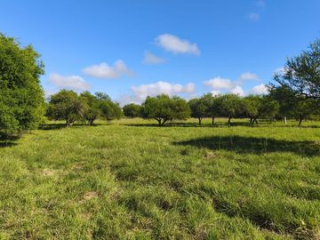 VENTA CASA QUINTA CAMPESTRE