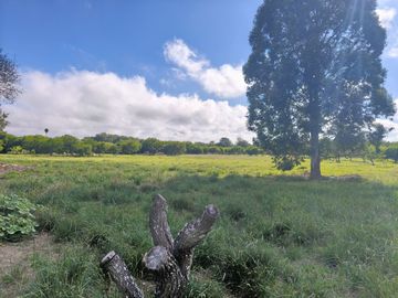 VENTA CASA QUINTA CAMPESTRE