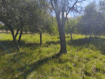 VENTA CASA QUINTA CAMPESTRE