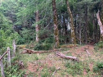 Hermosa parcela a minutos de Parque Nacional