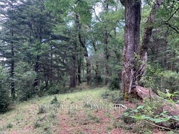 Hermosa parcela a minutos de Parque Nacional