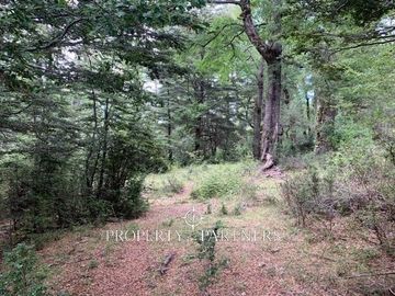 Hermosa parcela a minutos de Parque Nacional