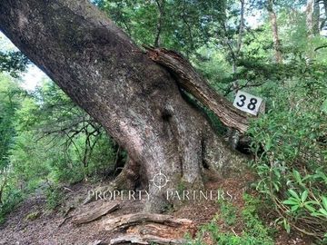 Hermosa parcela a minutos de Parque Nacional