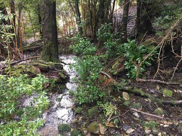 Increíble terreno en la entrada al Parque Nacional Huerquehue