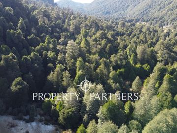 6 há de Campo Full Cordillerano