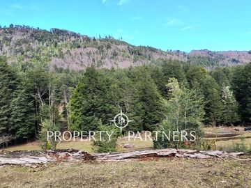 6 há de Campo Full Cordillerano