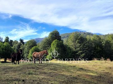 6 há de Campo Full Cordillerano