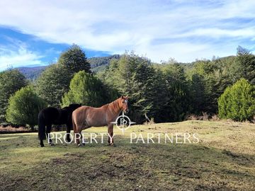 6 há de Campo Full Cordillerano