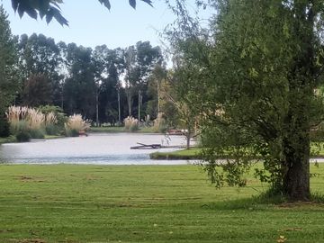 VENTA, CASA A LAGUNA, POSADA DE LOS LAGOS  al 100