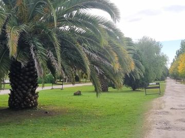 VENTA, CASA A LAGUNA, POSADA DE LOS LAGOS  al 100