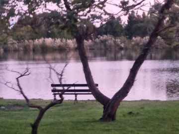 VENTA, CASA A LAGUNA, POSADA DE LOS LAGOS  al 100