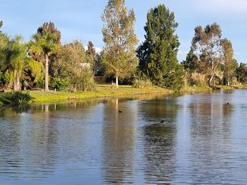 VENTA, CASA A LAGUNA, POSADA DE LOS LAGOS al 100