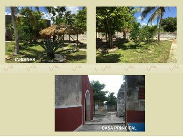 Terreno Para Desarrollar En Venta En Temax, Temax, Yucatán