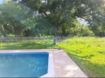 La Colmena, Allende