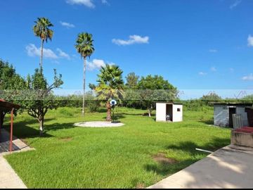 La Colmena, Allende