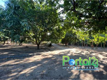 EN VENTA FINCA EN SANTA MARTA