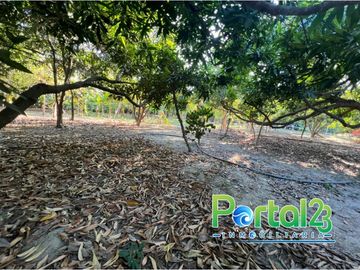 EN VENTA FINCA EN SANTA MARTA