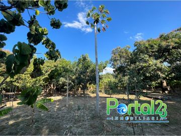 EN VENTA FINCA EN SANTA MARTA