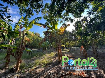 EN VENTA FINCA EN SANTA MARTA