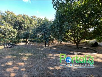 EN VENTA FINCA EN SANTA MARTA