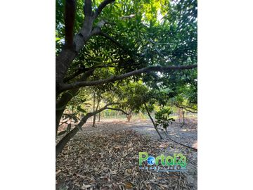 EN VENTA FINCA EN SANTA MARTA