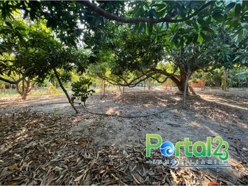 EN VENTA FINCA EN SANTA MARTA