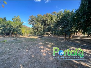EN VENTA FINCA EN SANTA MARTA