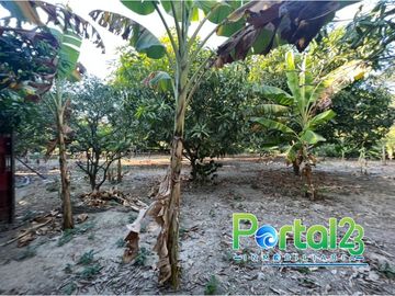 EN VENTA FINCA EN SANTA MARTA