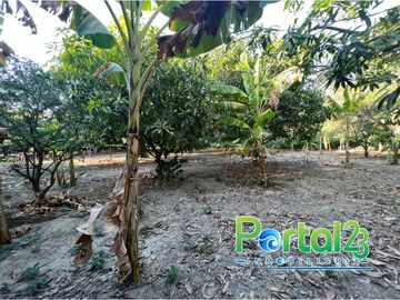 EN VENTA FINCA EN SANTA MARTA