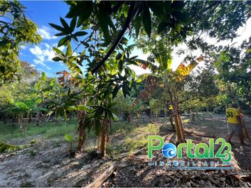 EN VENTA FINCA EN SANTA MARTA