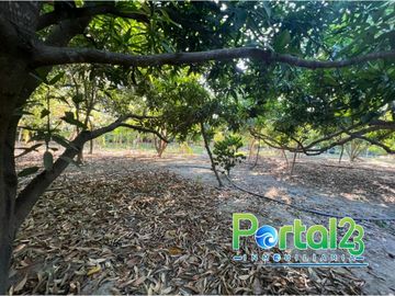 EN VENTA FINCA EN SANTA MARTA
