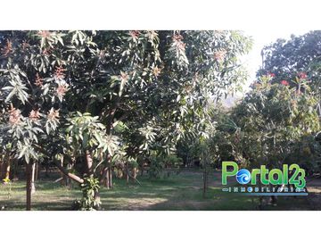 EN VENTA FINCA EN SANTA MARTA