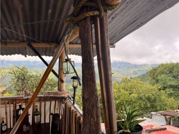 Se vende casa lote los pinos Circasia Quindio