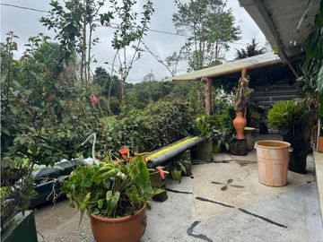 Se vende casa lote los pinos Circasia Quindio