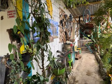 Se vende casa lote los pinos Circasia Quindio