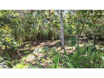 Vendo Parcela La Ceiba Vda. Llano Barichara